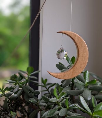 Rainbow maker Beech moon